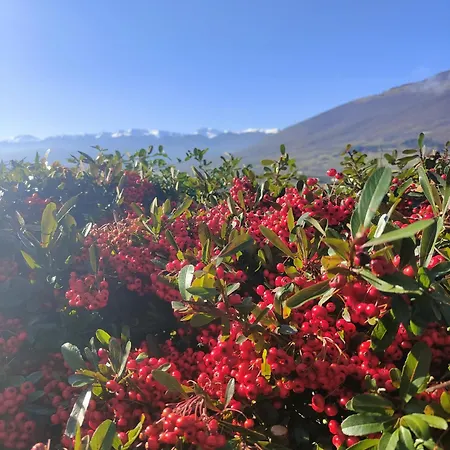 La Di Vincenzo Apartment