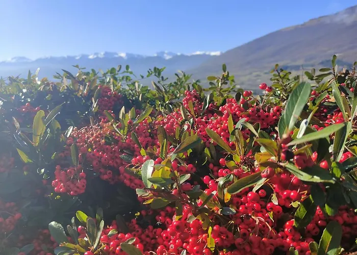 La Di Vincenzo Appartement